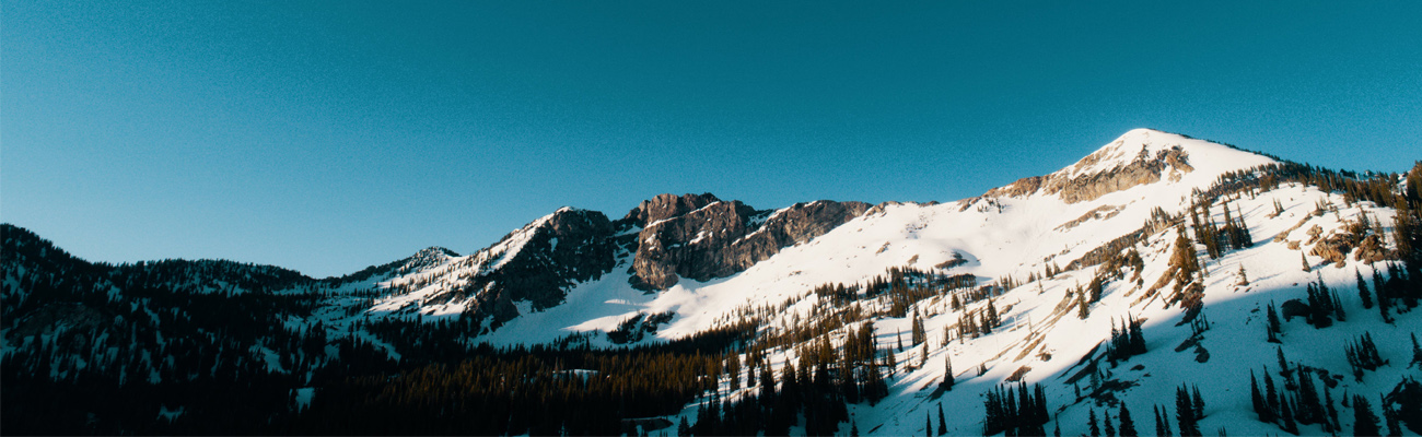 Cover-Photo